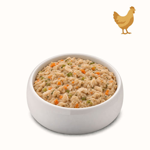 RICETTA POLLO,VERDURE E RISO