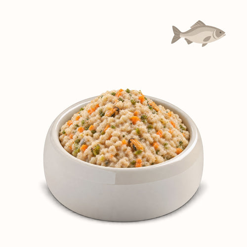 SELEZIONE DI PESCE