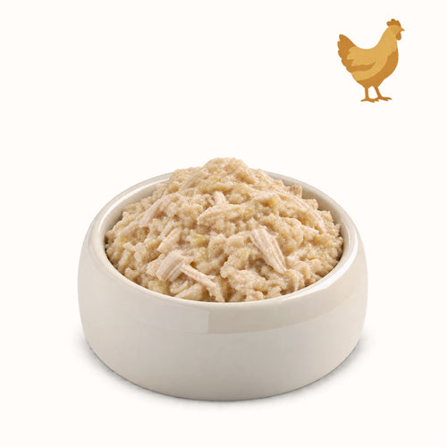 PETTO DI POLLO 100%