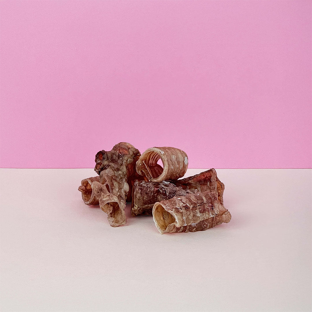 TRACHEA DI MANZO