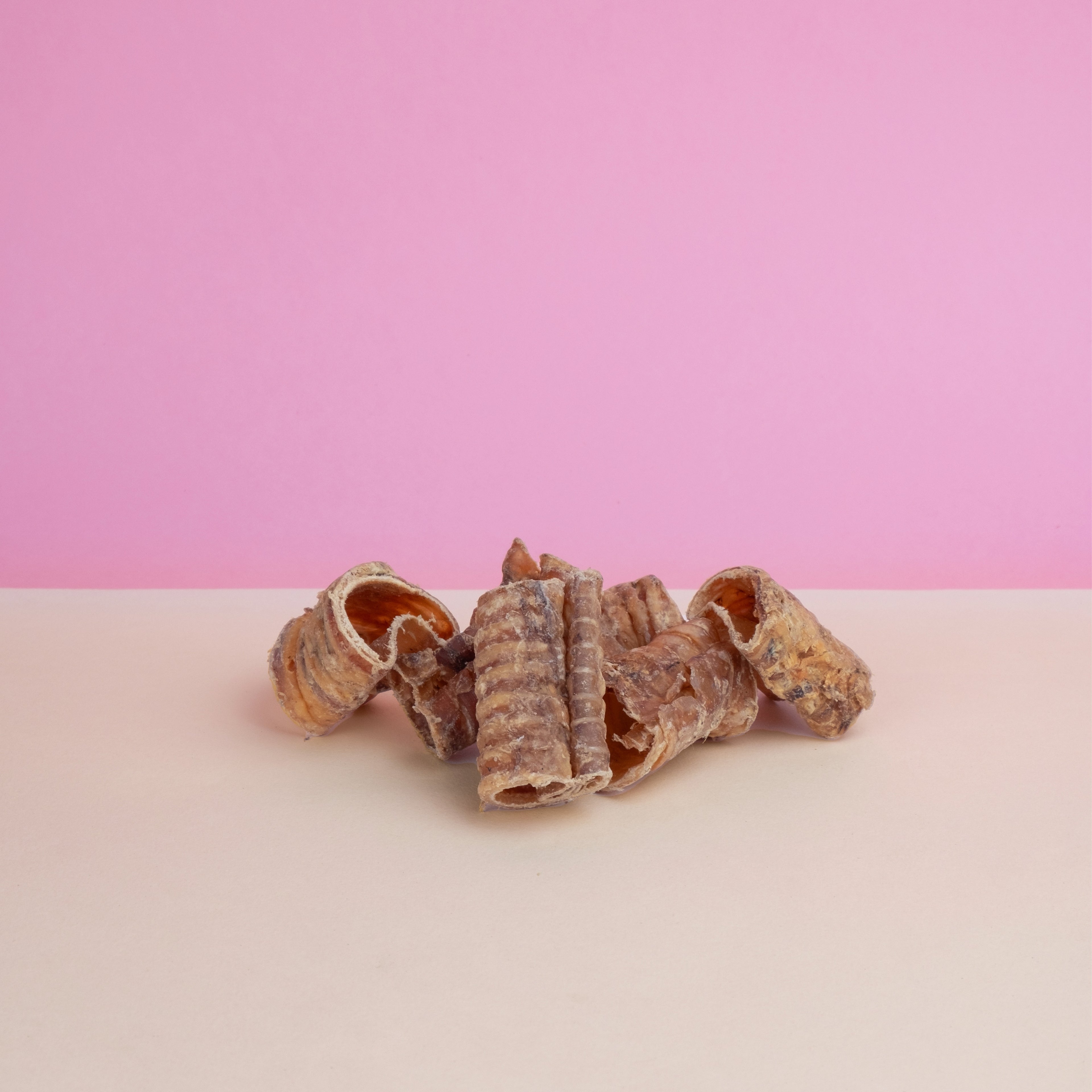 TRACHEA DI MANZO