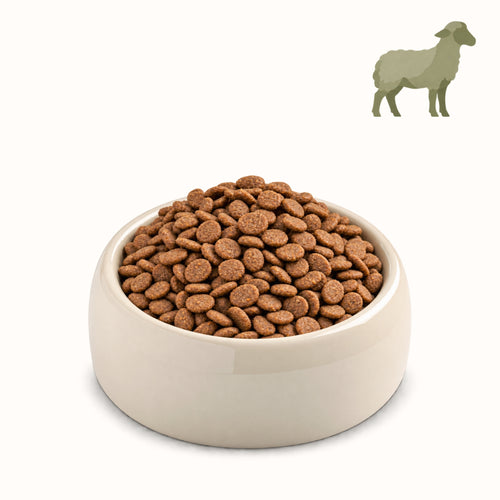 AGNELLO MAGICO