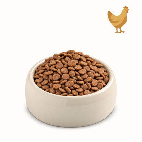 POLLO PAZZESCO