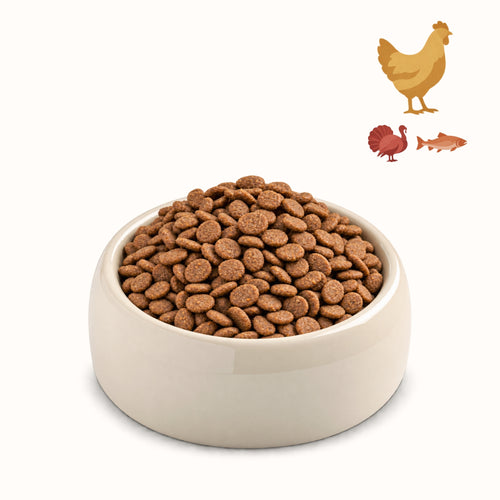 POLLO GALATTICO