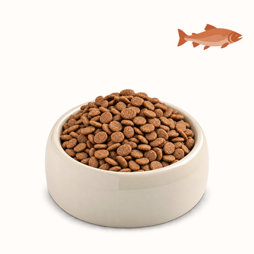 RICCO SAPORE DI SALMONE