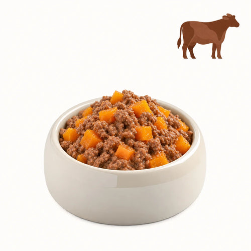 SELEZIONE DI MANZO E ZUCCA
